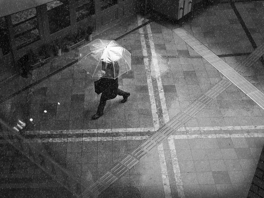 Chuva segue presente e temperatura não passa dos 27°C em Goiânia nesta quarta (21)